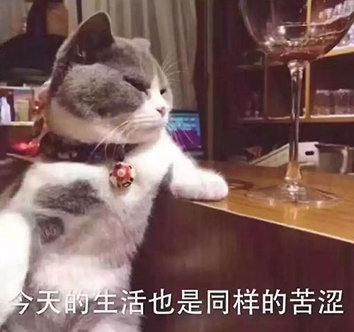 南京家庭裝修之喵星人：“裝修前，你考慮過(guò)我嗎？”