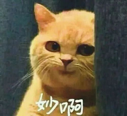 春節(jié)發(fā)紅包 | 體驗(yàn)紅牛裝飾“數(shù)字家裝”