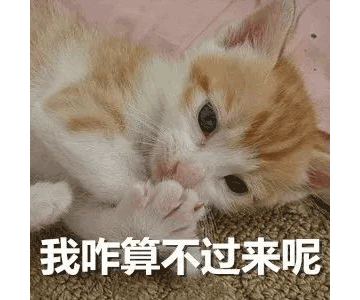 別等618了，本周末就能鎖定裝修優(yōu)惠！