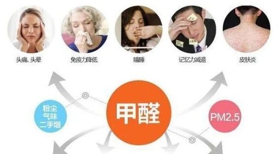 春季家裝節(jié)，綠色煥新月，優(yōu)惠享不停！