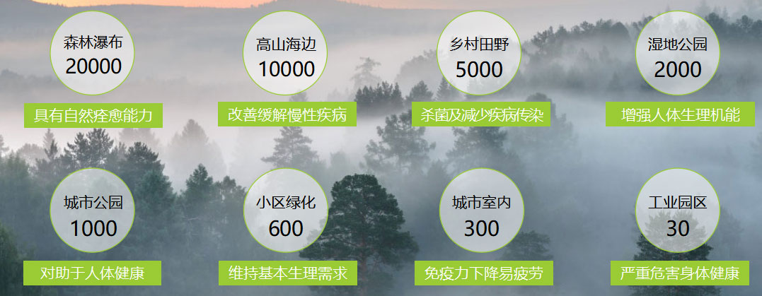 真羨慕！“住城里的房子，吸山里的空氣”，是種怎樣的體驗？