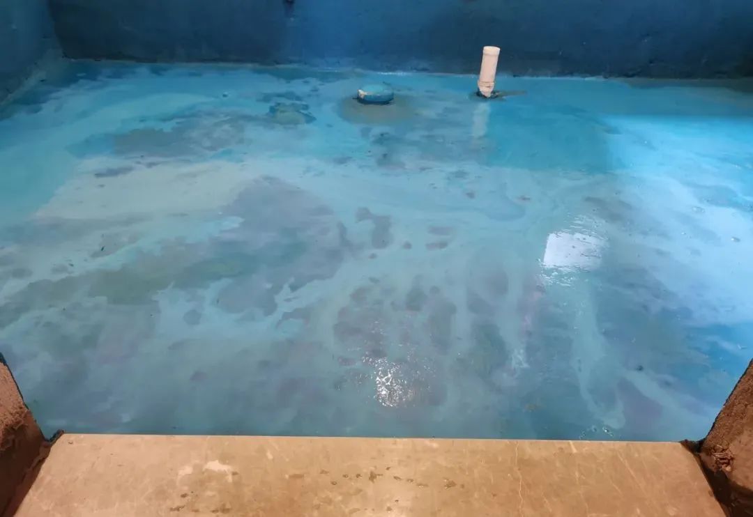 工地突擊巡檢｜沒想到，這家工地竟治愈了我的“強(qiáng)迫癥”
