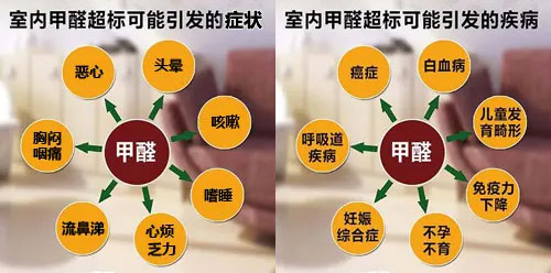 擔(dān)心家里甲醛超標(biāo)，教您一招，安安心心住新家！